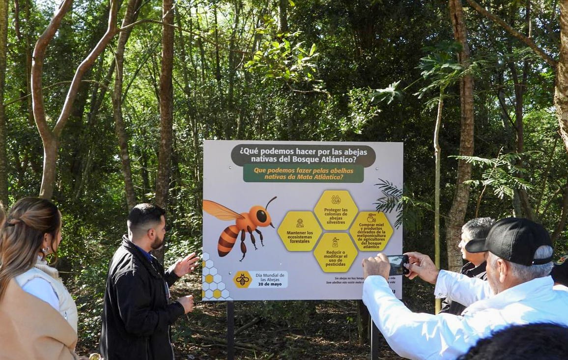 Inauguran nuevo atractivo para conservación de abejas nativas en el Refugio Biológico de Mbaracayú