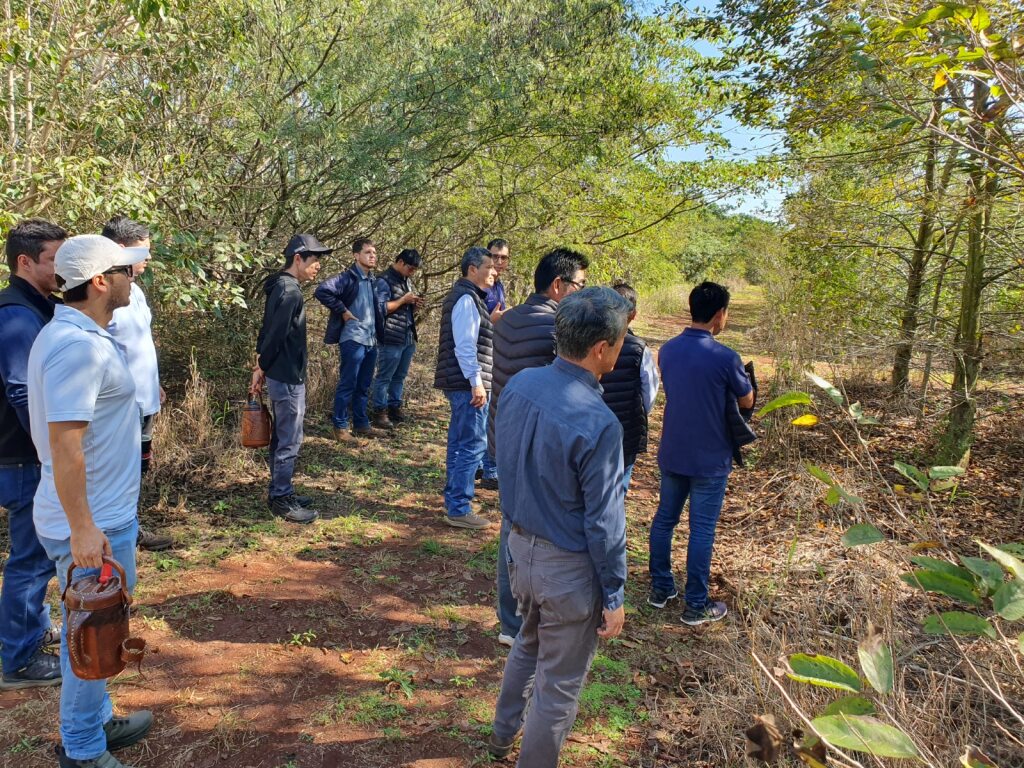 Representantes de la Cooperativa Yguazú Agrícola verifican proyectos de restauración forestal impulsados por ITAIPU