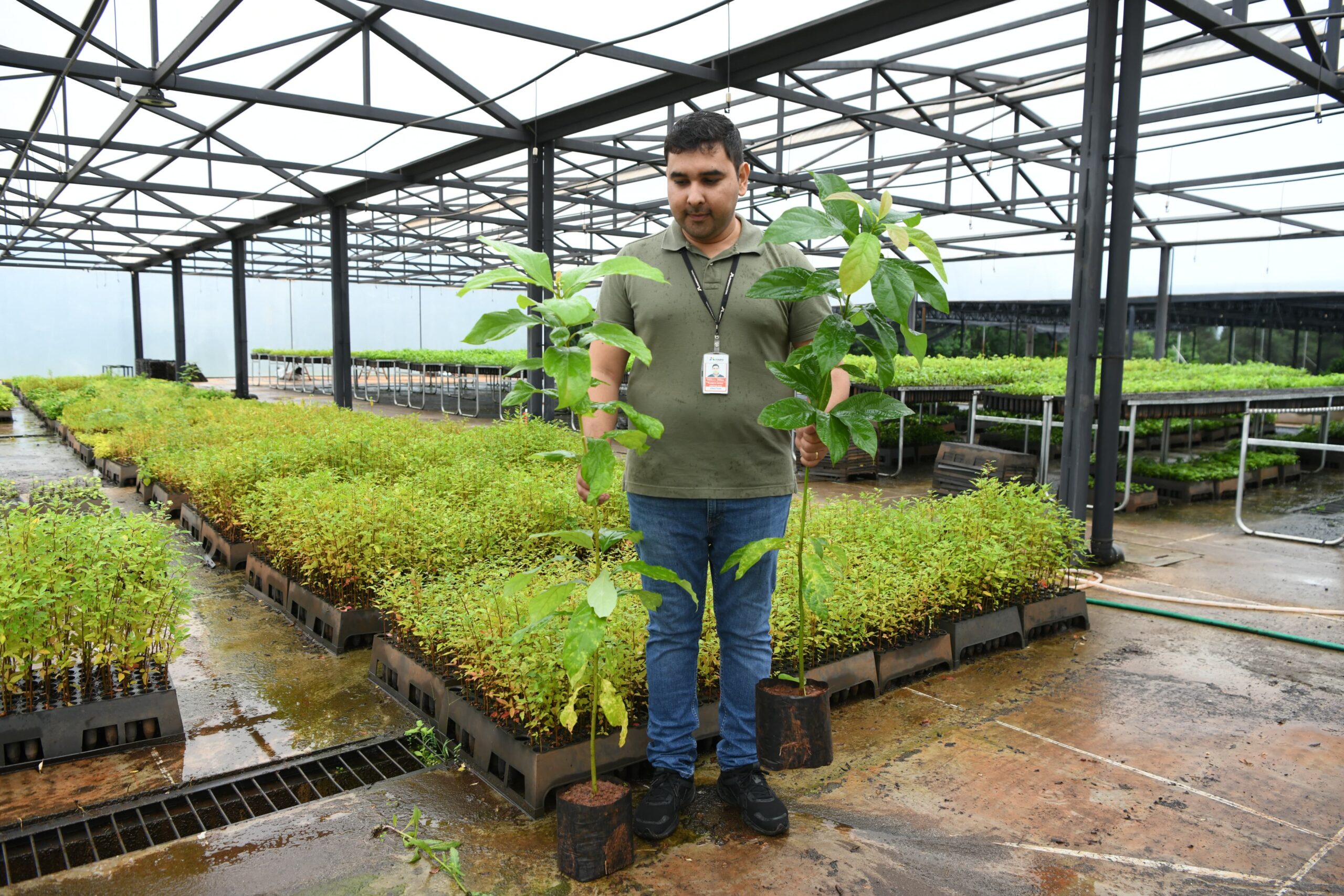 Vivero de Tekotopa Centro Ambiental produjo 616.569 plantines en el primer semestre de 2025
