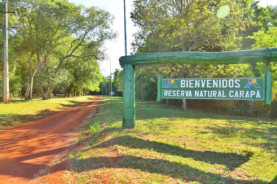 Reserva Natural Carapã de ITAIPU cumple 17 años conservando uno de los ecosistemas más diversos de la región