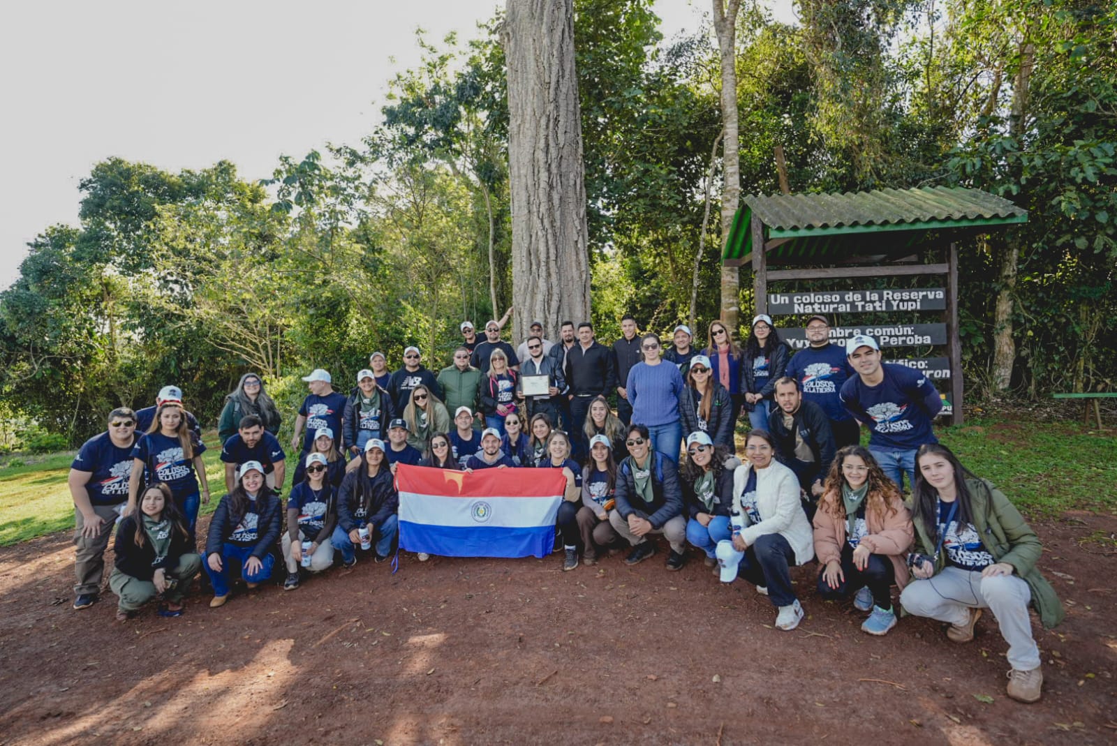 Un imponente peroba de la Reserva Natural Tatí Yupí es finalista de Colosos de la Tierra