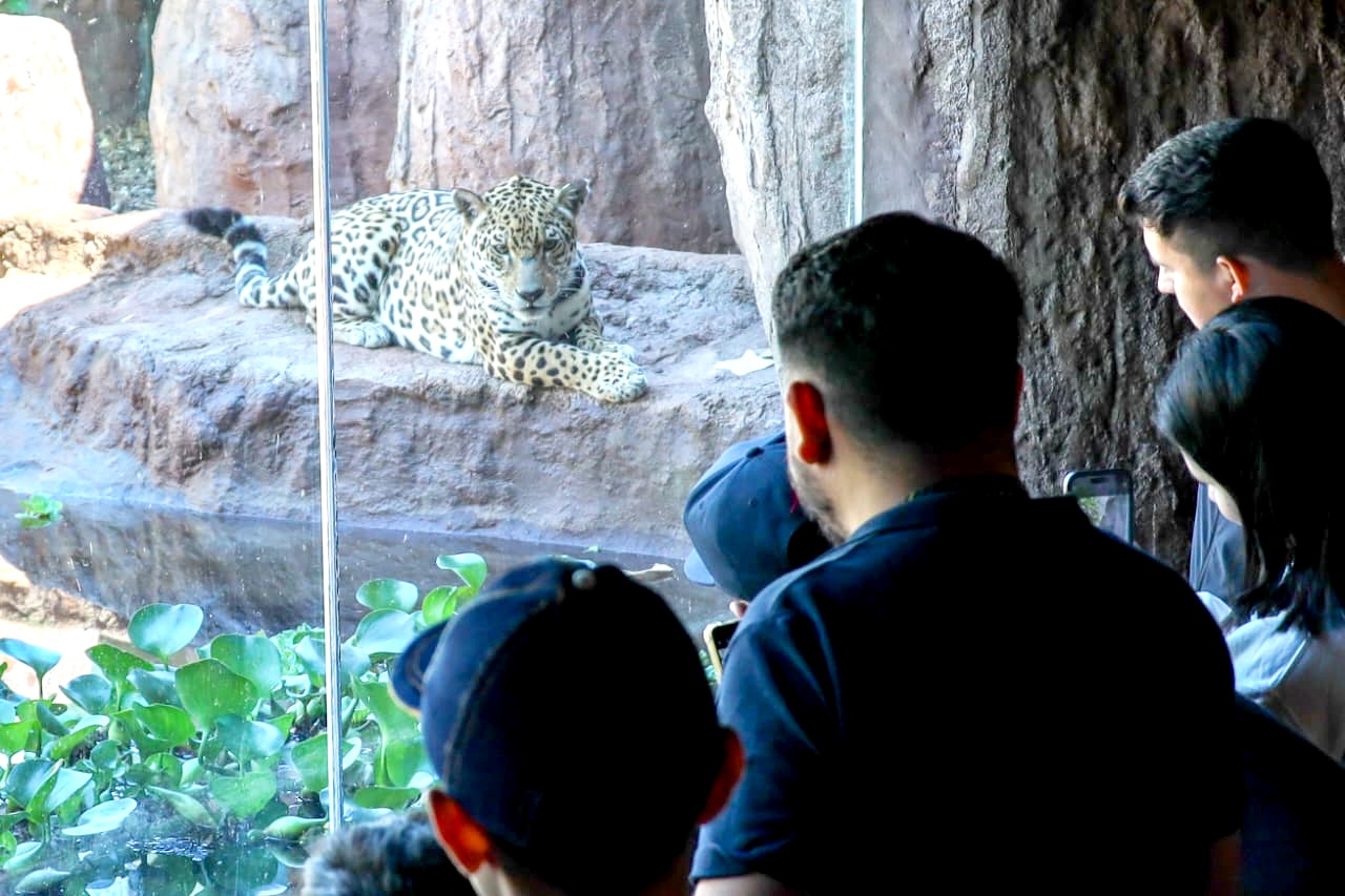 Más de 1.200 personas visitaron Tekotopa Centro Ambiental de ITAIPU en su primera semana de habilitación