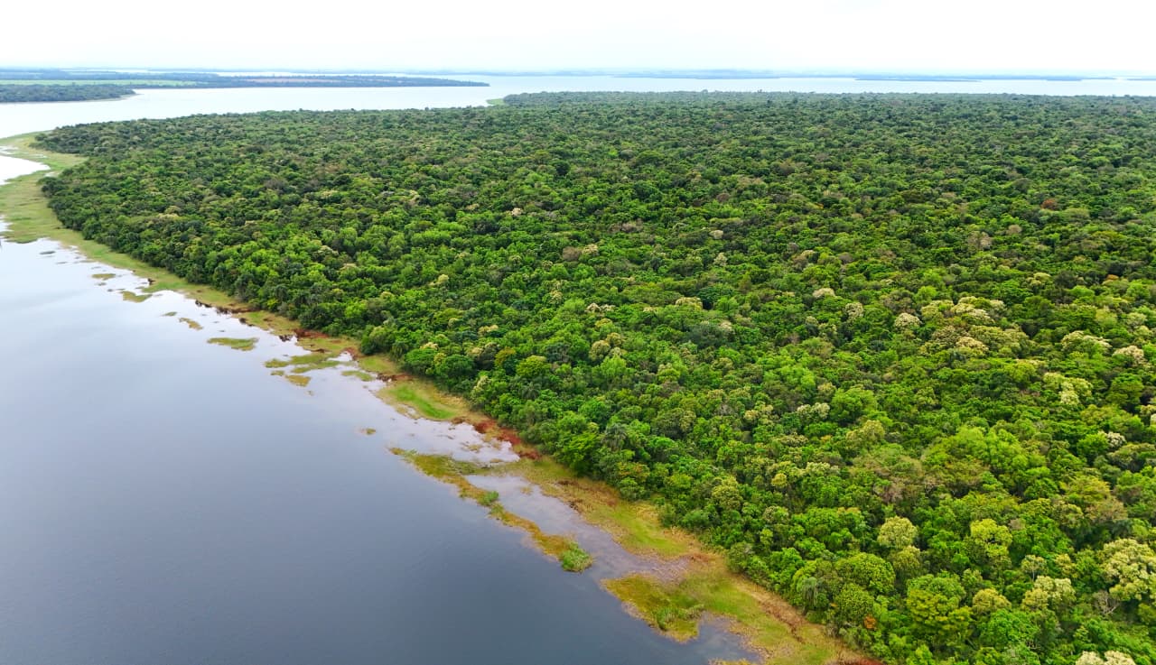 ITAIPU reafirma su compromiso con la conservación de la biodiversidad en el día de las áreas protegidas