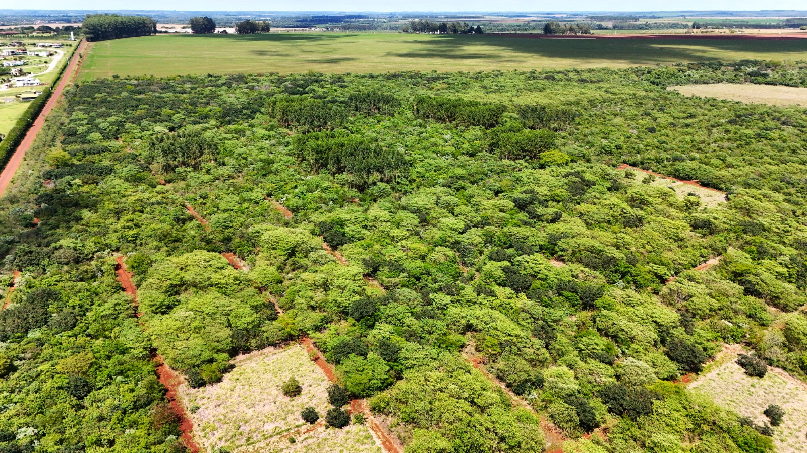 Realizan enriquecimiento en parcelas de restauración forestal de ITAIPU para cultivo de nuevas especies