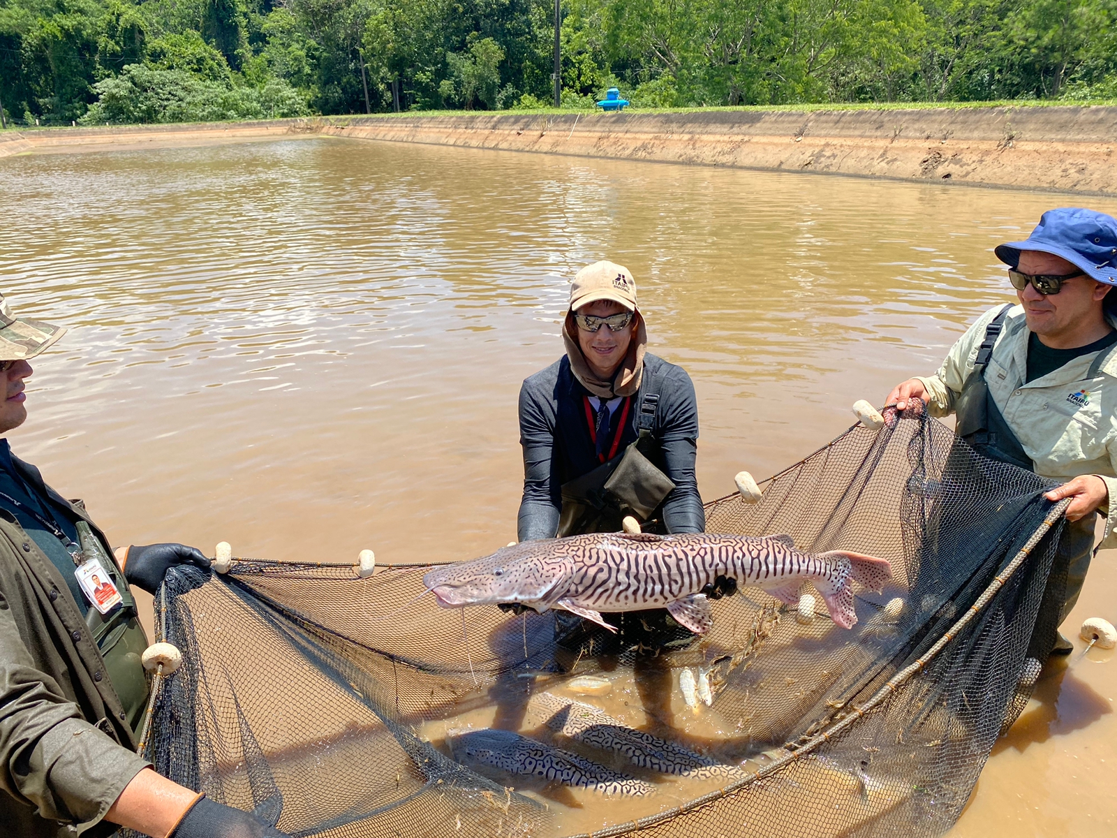 Tekotopa Centro Ambiental de ITAIPU promueve iniciativas de restauración de ecosistemas acuáticos