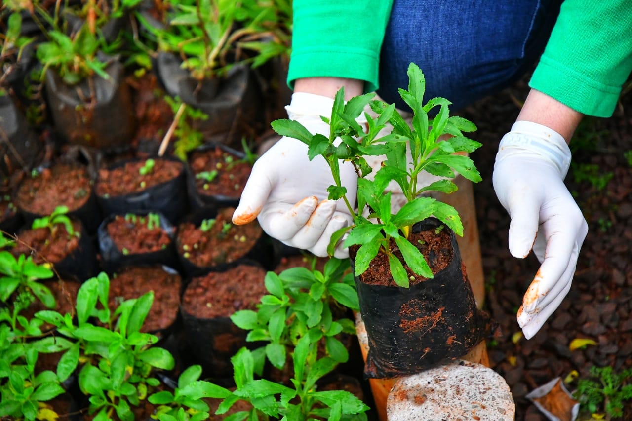 Con iniciativas de conservación y restauración, ITAIPU conmemora el Día Mundial del Suelo