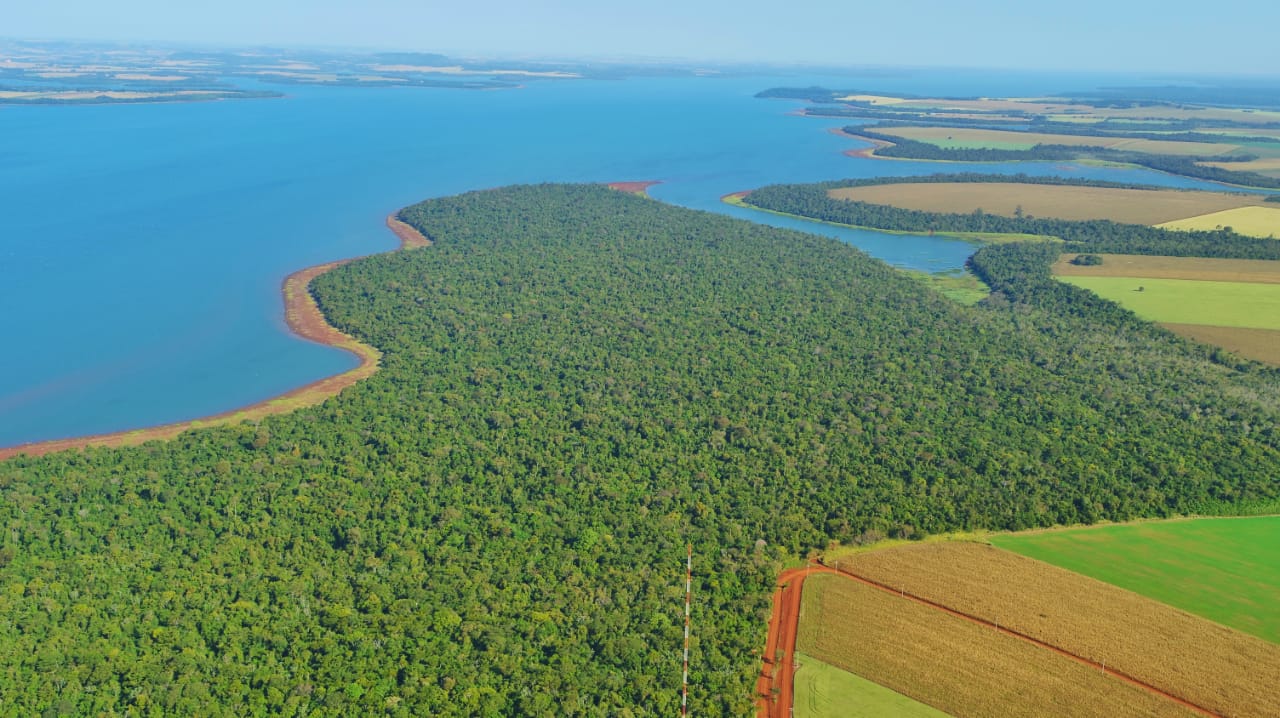ITAIPU destaca iniciativas por la reducción de las emisiones de CO2 en el marco de conmemoración mundial