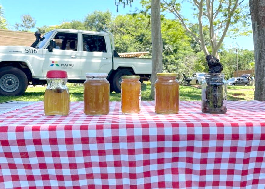 Extraen miel de abejas nativas por primera vez en el Refugio Biológico de Mbaracayú de ITAIPU
