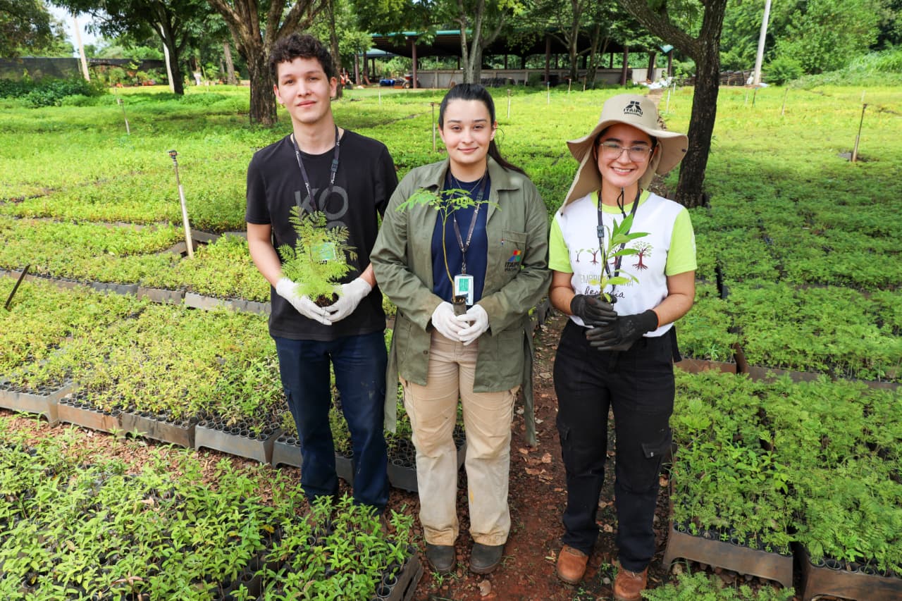 Estudiantes universitarios aprovechan iniciativas forestales de ITAIPU para realizar pasantía profesional