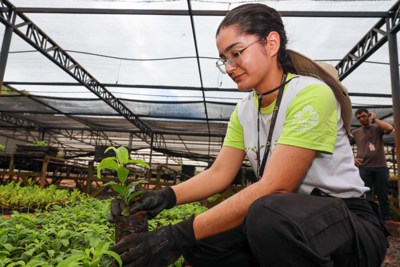 Vivero y huerto de ITAIPU superan los 220.000 plantines producidos en los dos primeros meses de 2026