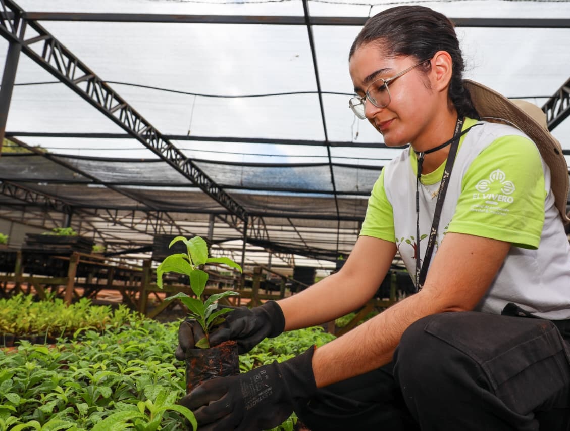 Vivero y huerto de ITAIPU superan los 220.000 plantines producidos en los dos primeros meses de 2026
