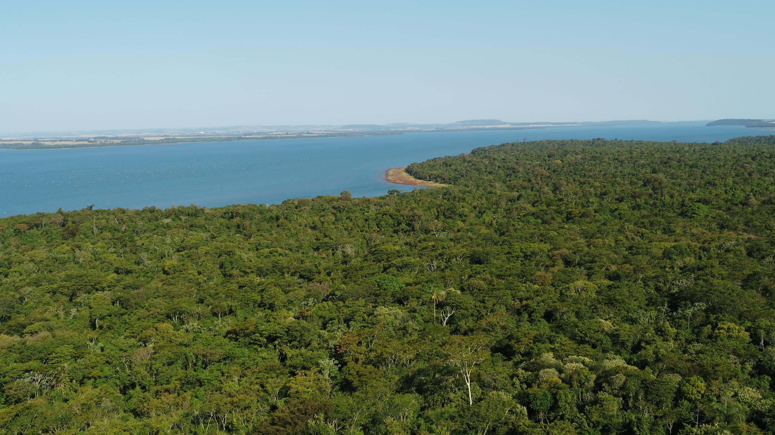ITAIPU se adhiere a conmemoración del Día Mundial de los Bosques con iniciativas de restauración forestal