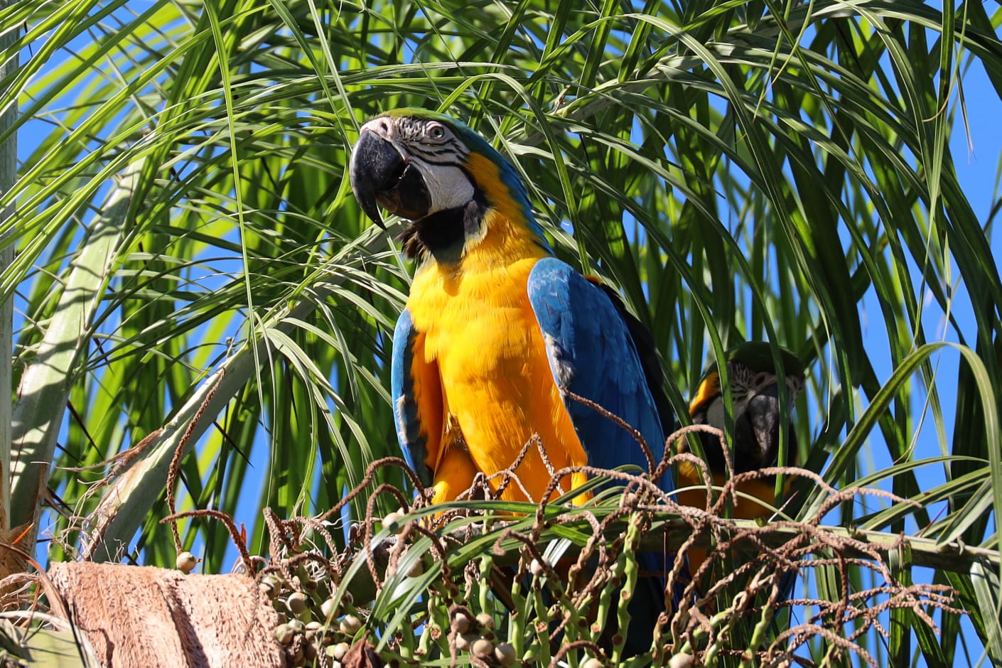 ITAIPU integra la Red Mundial de Reservas de Biosfera de la UNESCO con ocho áreas protegidas