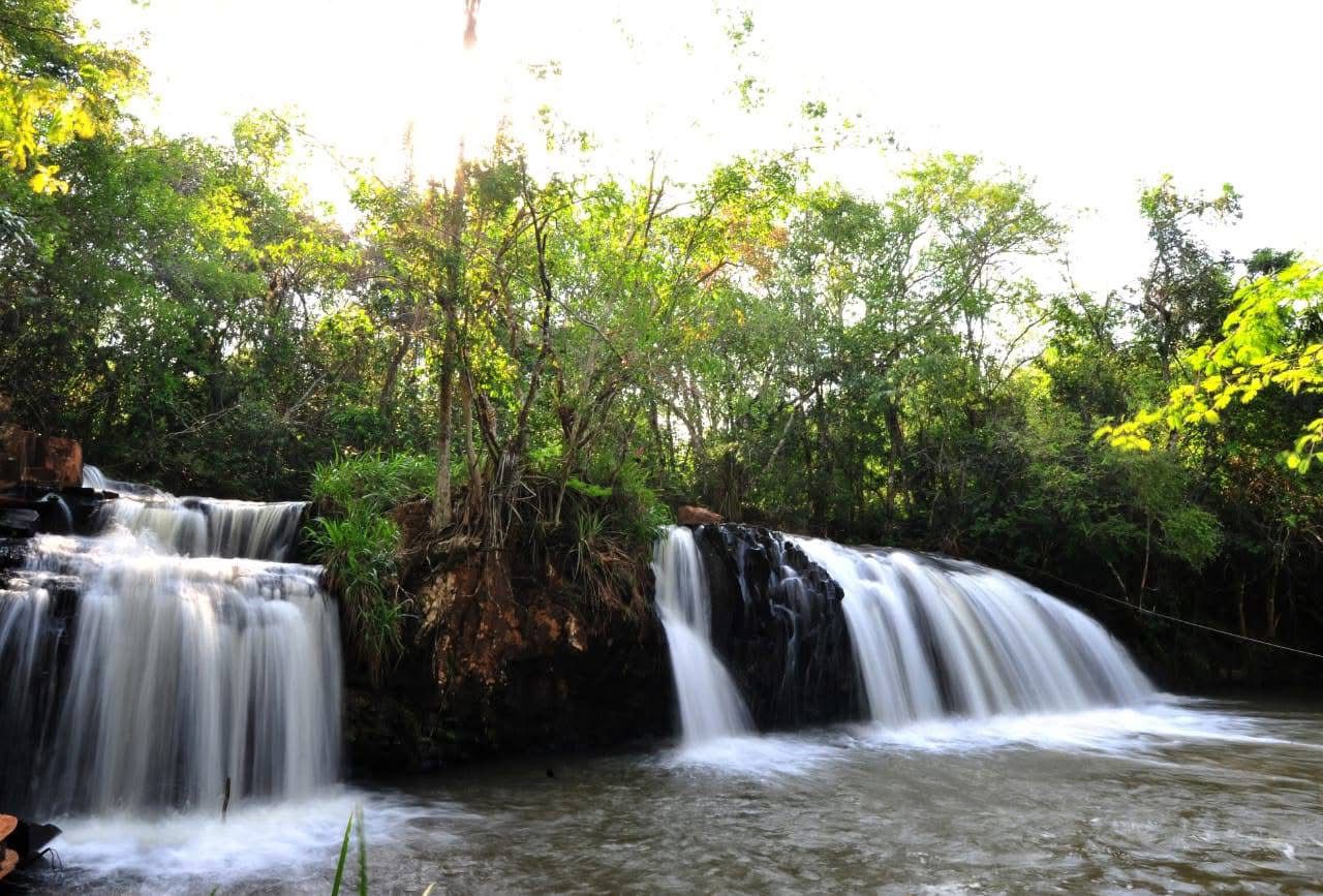En el Día Trinacional del BAAPA, ITAIPU reafirma su compromiso para la conservación y restauración forestal de la ecorregión