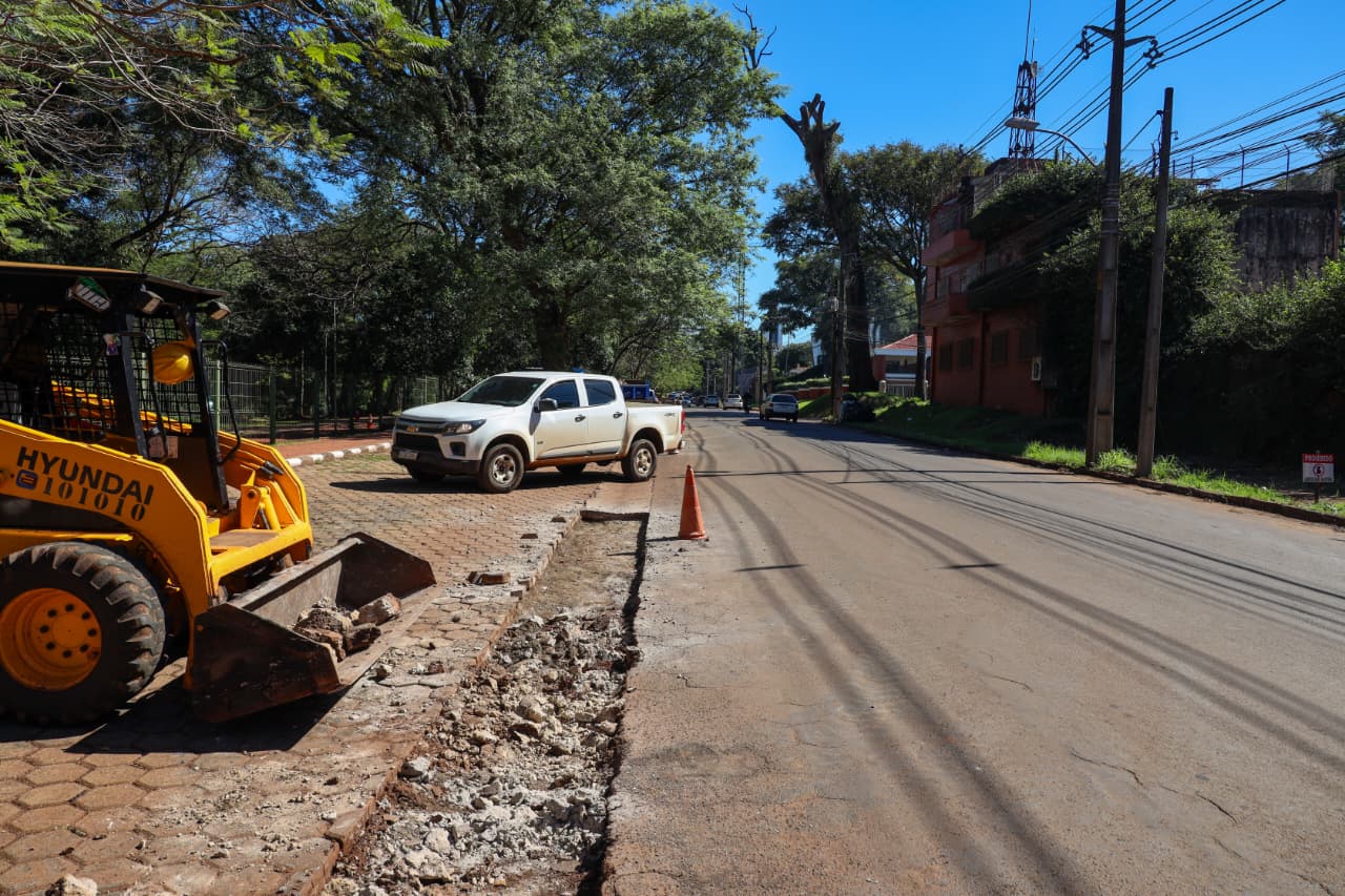 ITAIPU revitaliza la estratégica avenida Los Lapachos de Ciudad del Este