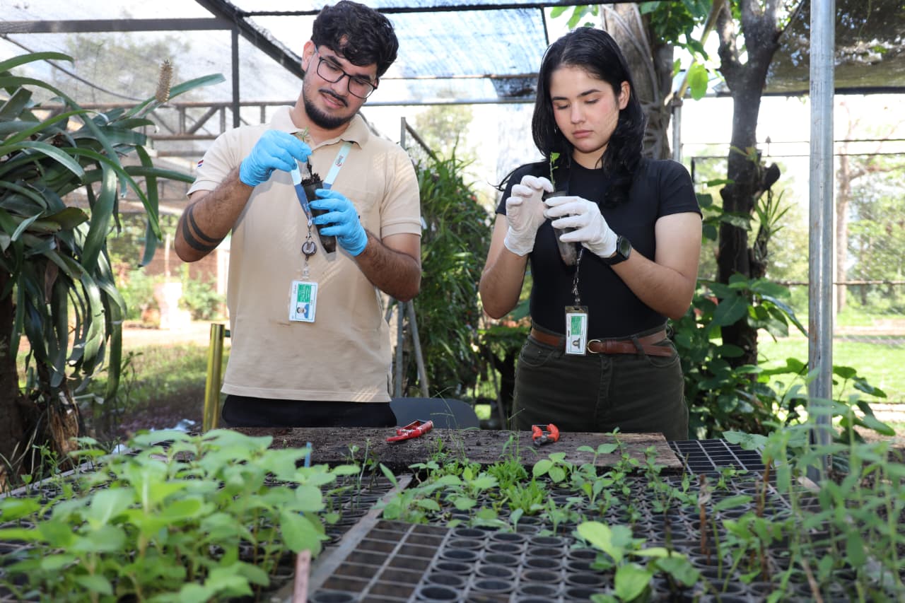 Universitarios se capacitan en conservación de especies nativas ornamentales en ITAIPU