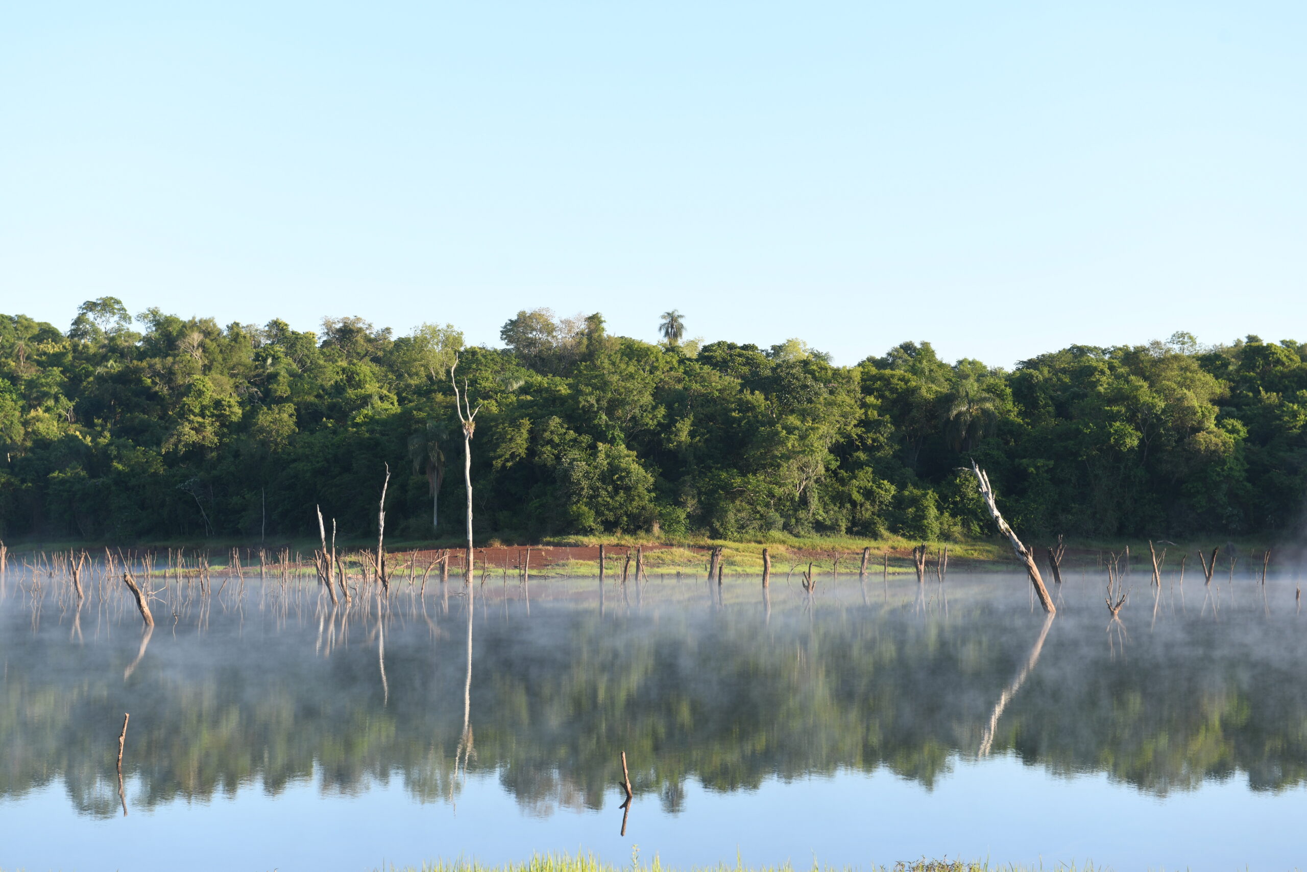 ITAIPU conmemoró 43° aniversario de creación de cuatro áreas protegidas con su rica biodiversidad