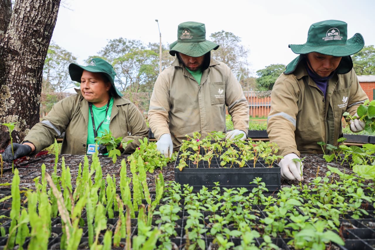 Vivero Forestal de ITAIPU cumplió 50 años de labor para la preservación de especies de la región