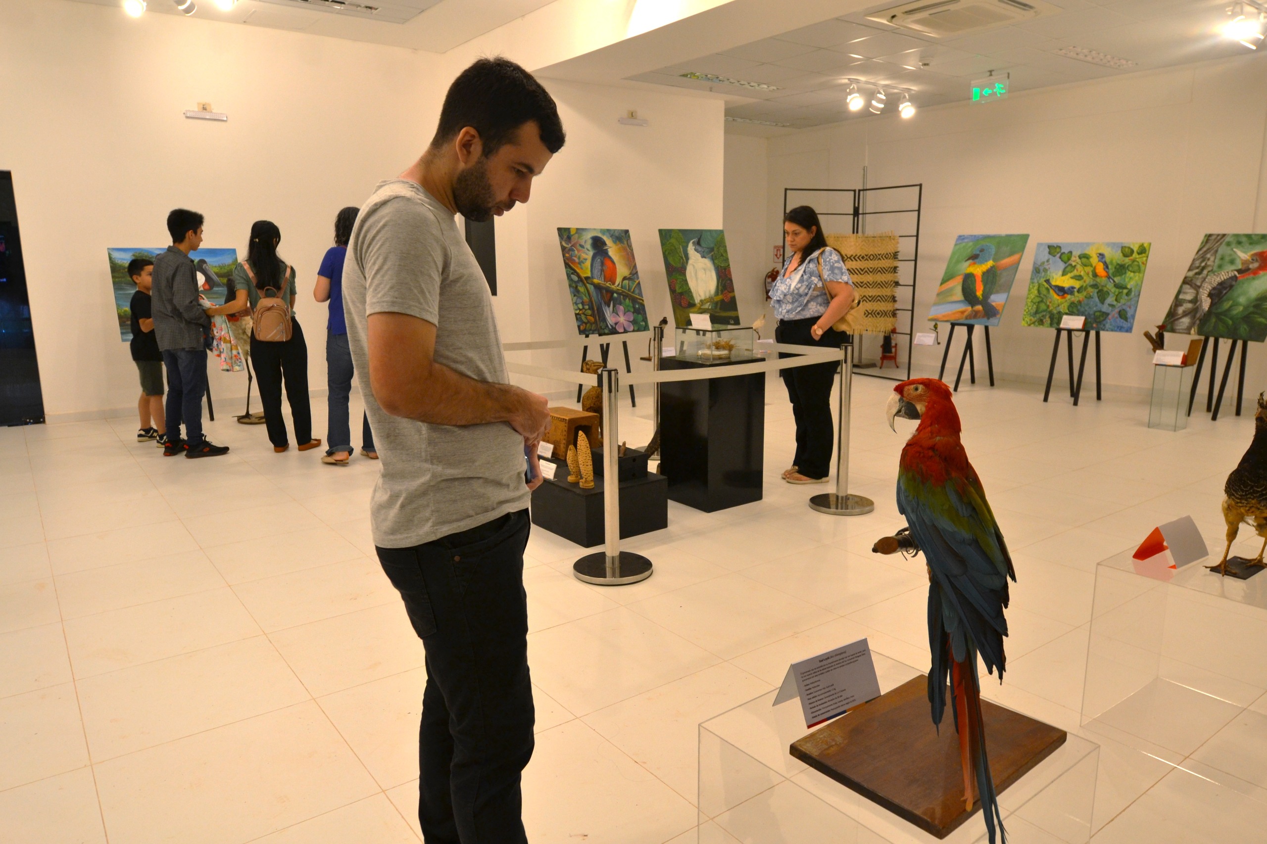 Acervo biológico del Museo de ITAIPU Tierra Guaraní obtiene habilitación del MADES