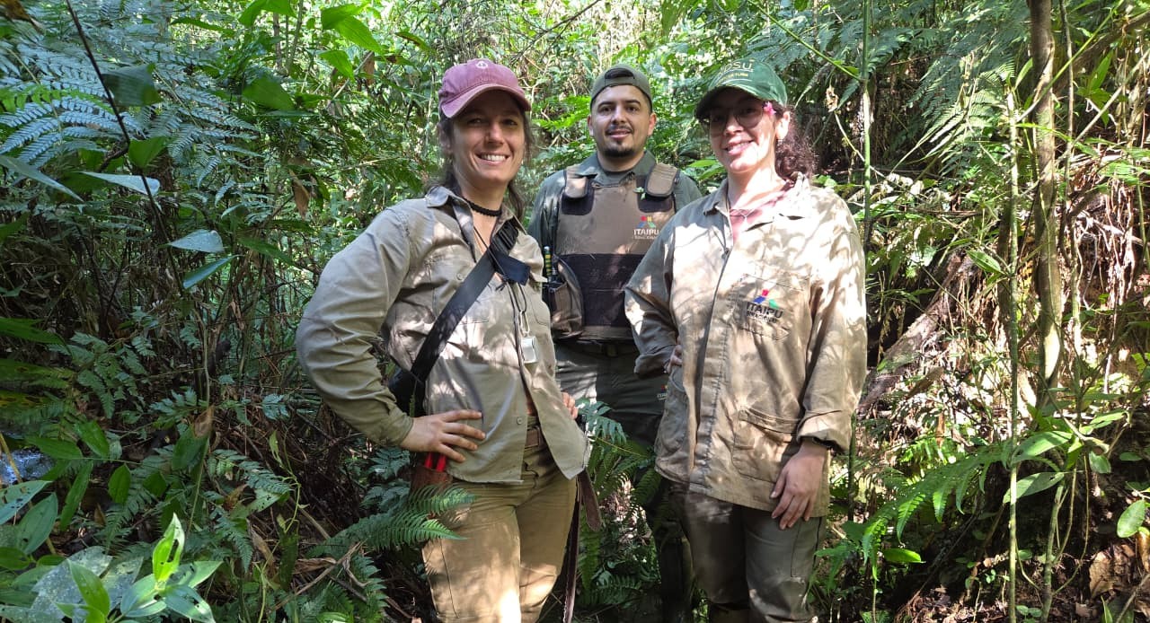 Impulsan campaña de colecta de helechos y licofitas en la Reserva Natural Limoy de ITAIPU