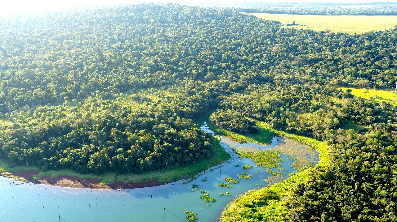 Reserva Natural Yvyty Rokái de ITAIPU cumple 18 años como pieza clave en la conservación del BAAPA