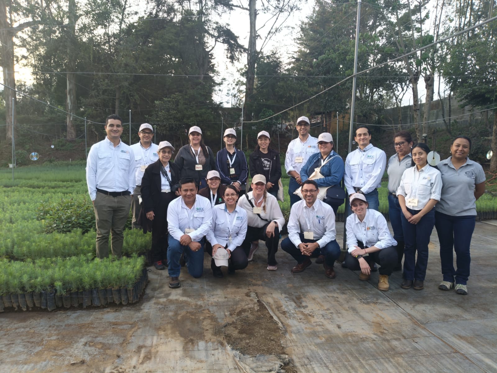 Técnicos de ITAIPU participaron en taller internacional sobre restauración del paisaje forestal