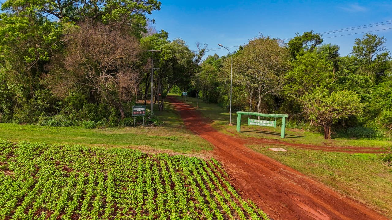 Reserva Natural Carapã de ITAIPU cumple 18 años como protectora de la biodiversidad en la región