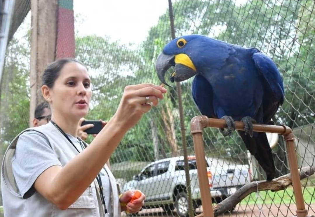ITAIPU destaca rol de sus biólogos en la preservación de ecosistemas, en el marco de conmemoración nacional
