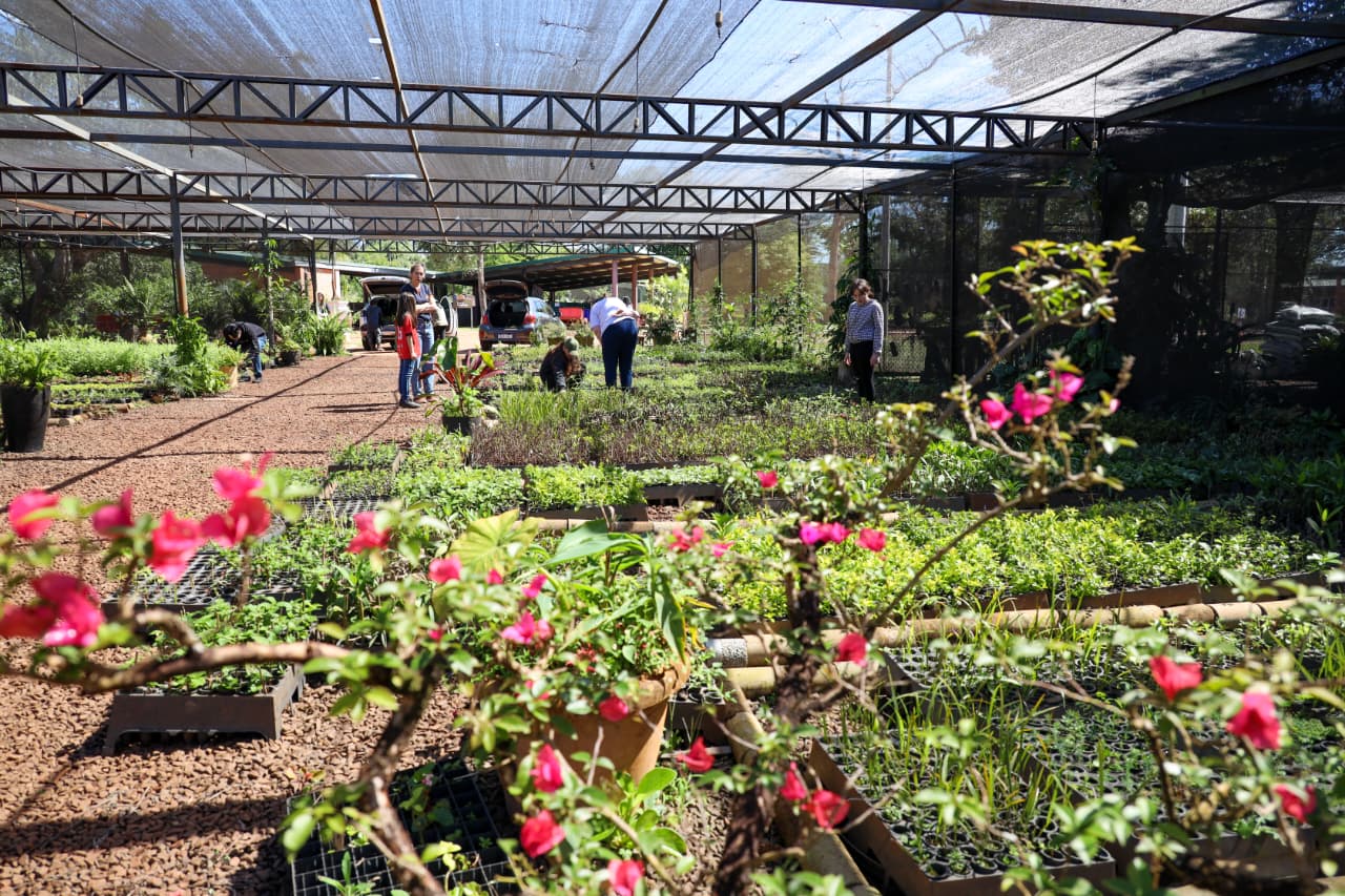 Vivero de Tekotopa registra afluencia masiva y ya entregó más de 60.000 plantines
