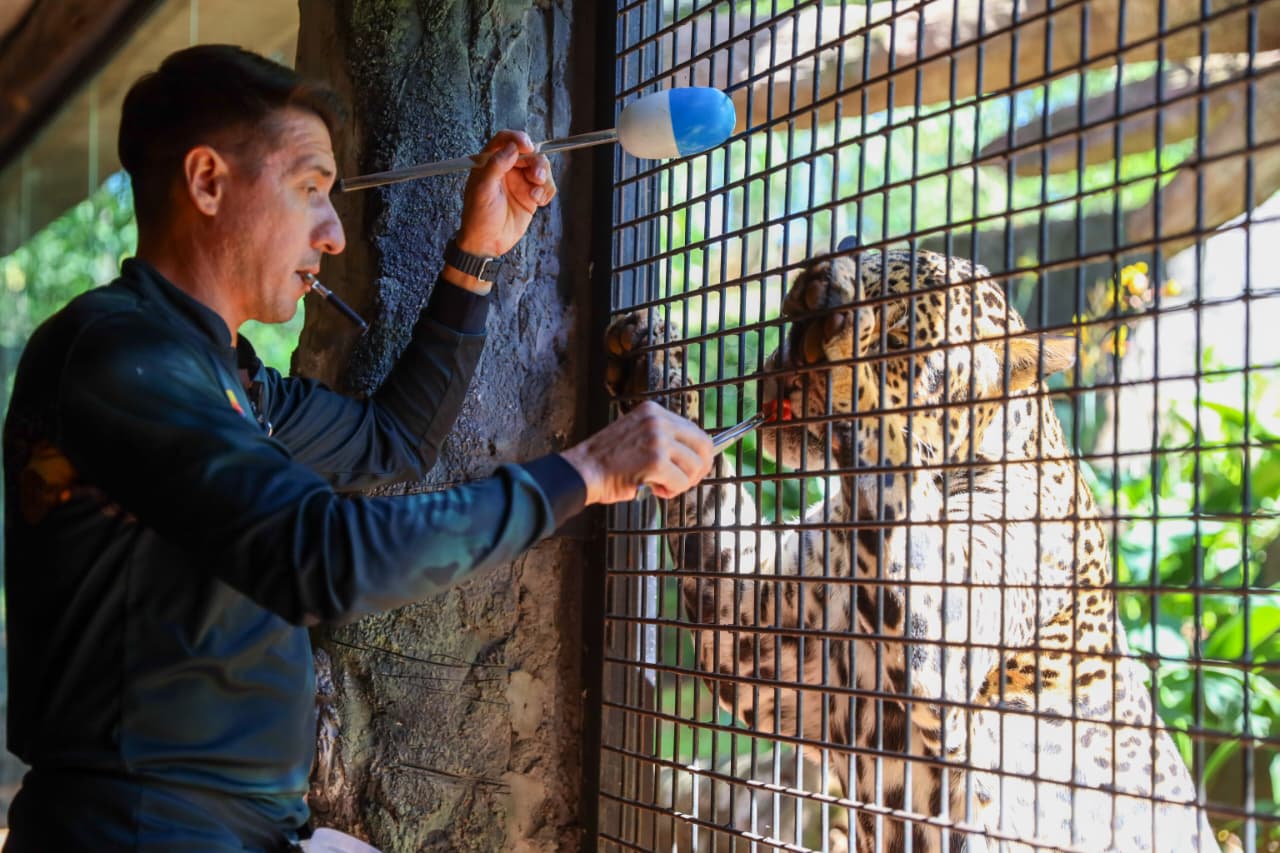 Técnicos de Tekotopa ofrecieron demostraciones de prácticas de bienestar animal al público