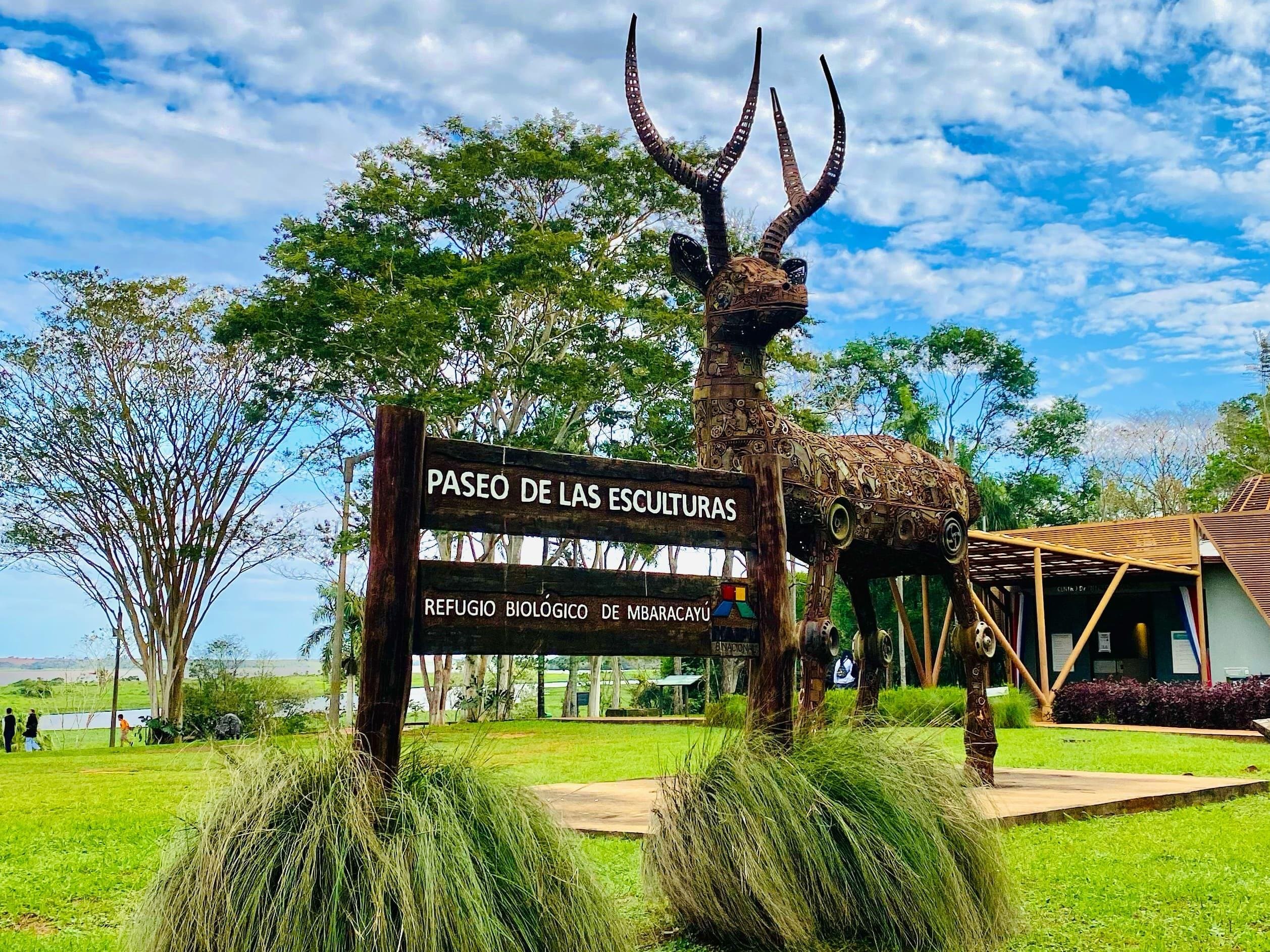 El venado de Mbaracayu