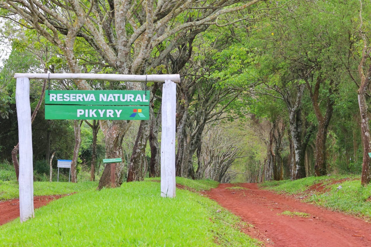 Reserva Natural Pikyry de ITAIPU cumple 18 años de creación y preservación de los remanentes del BAAPA